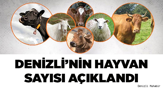 HAYVAN ENVANTERİ TUTULDU