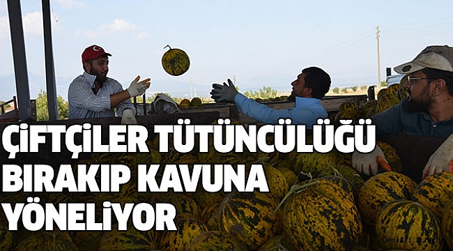 KALE'DE YETİŞİYOR, TÜRKİYE'NİN HER YERİNE GİDİYOR