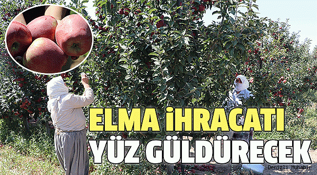 ÖZTÜRK:”500 BİN TON ELMA İHRACATI HEDEFLİYORUZ”