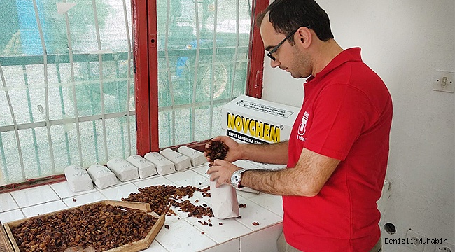 ÜZÜMDE REKOLTE DÜŞÜK, FİYATLAR İYİ
