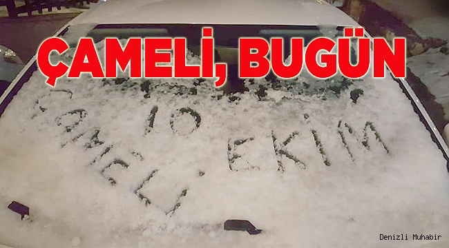 ÇAMELİ'DE ETKİLİ OLDU