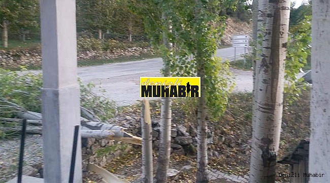 Çameli'de Şiddetli Rüzgar Ağaç Yıktı