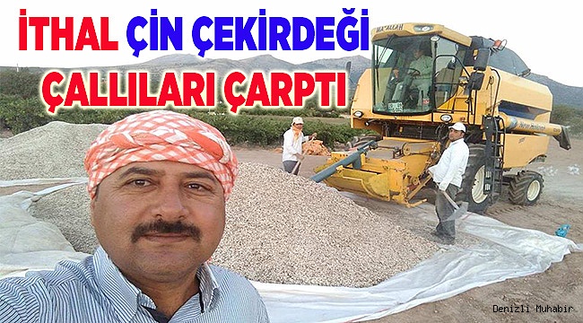 Çin’den gelen çerezlik ayçiçeği Çallı üreticiyi çarptı