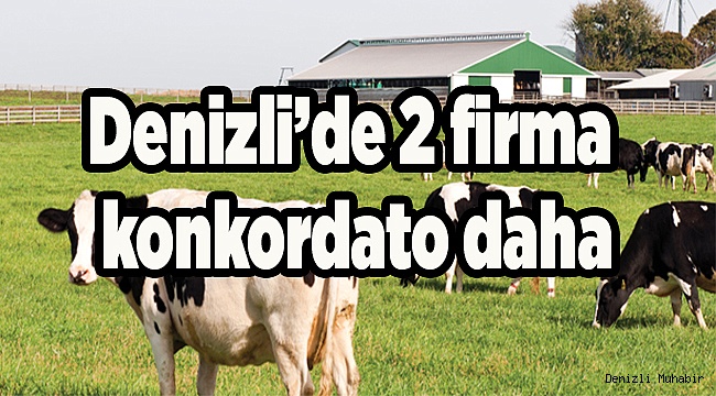 İKİ FİRMA DAHA KONKORDATO İLAN ETTİ
