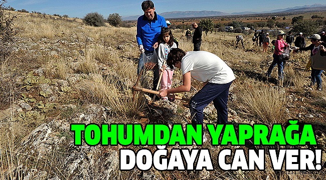 MEŞE PALAMUTLARI TOPRAKLA BULUŞTU