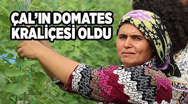 Seracı iş kadını hemcinslerine "ışık" oldu
