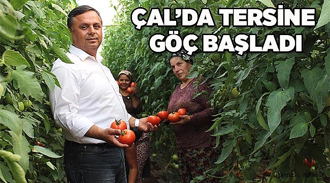 TERSİNE GÖÇ BAŞLADI