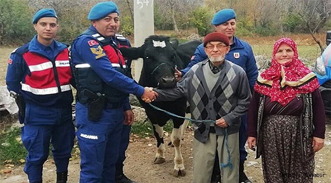 ÇALINAN İNEKLERİ JANDARMA BULDU