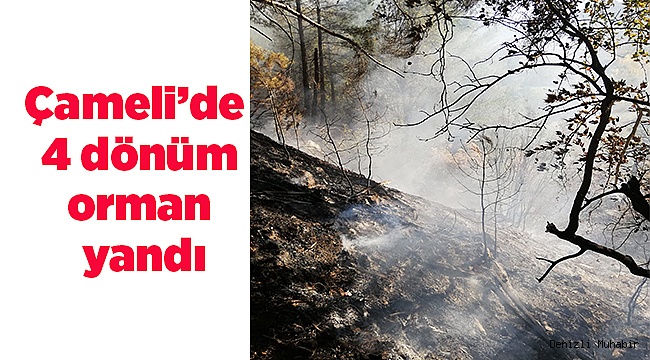Çameli’de çıkan yangında 4 dönüm orman yandı.