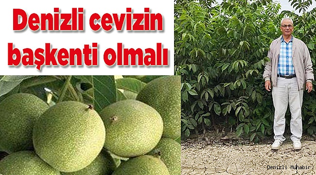 Denizli cevizin başkenti olmalı