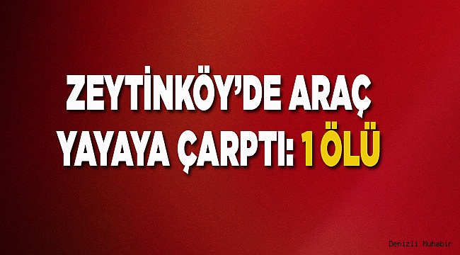 Denizli'de otomobilin çarptığı yaya öldü