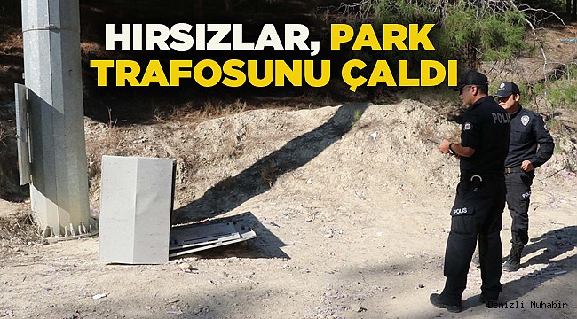 HIRSIZLAR, PARKIN TRAFOSUNU ÇALDI