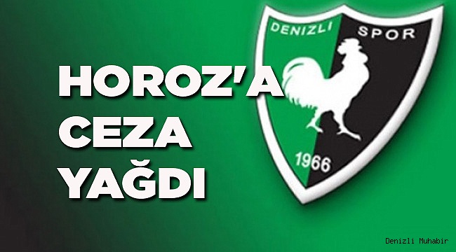 HOROZ'A CEZA YAĞDI