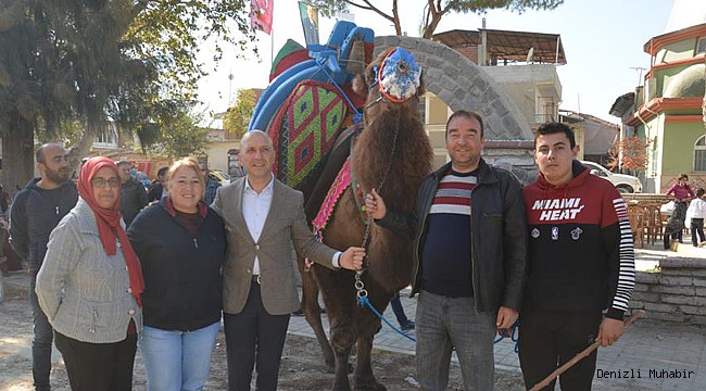 Sarayköy, 3 Şubat’ta iddialı bir deve güreşine ev sahipliği yapacak