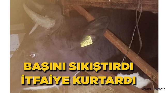 UZUN SÜRE BÖYLE BEKLEDİ