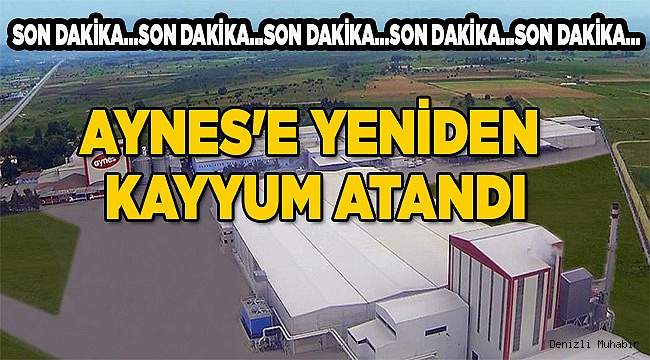 AYNES'E YENİDEN KAYYUM ATANDI