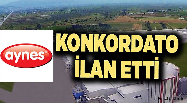 AYNES Konkordato İlan Etti