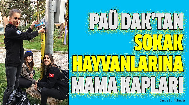 DENİZLİ’NİN ÇEŞİTLİ NOKTALARINA YERLEŞTİRDİLER
