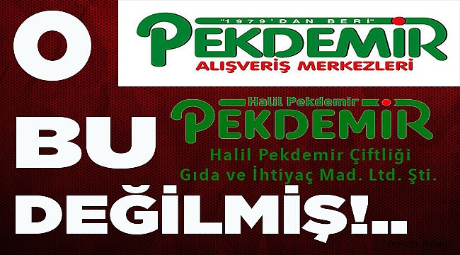 Halil Pekdemir "BİZ DİMDİK AYAKTAYIZ"