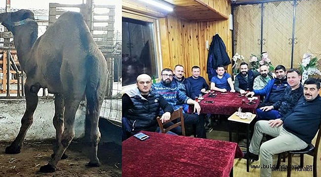 ON ORTAK DEVEYE GİRDİ