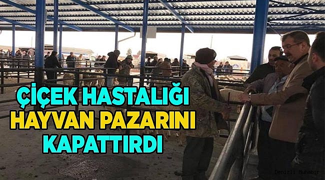 Çiçek Hastalığı Hayvan Pazarını kapattırdı