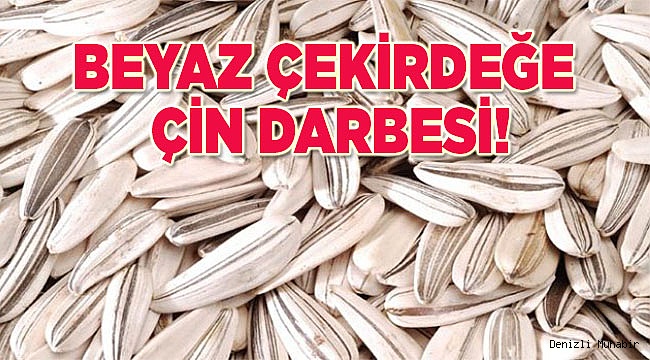 ÇİVRİL ÇEKİRDEĞİ ELDE KALDI