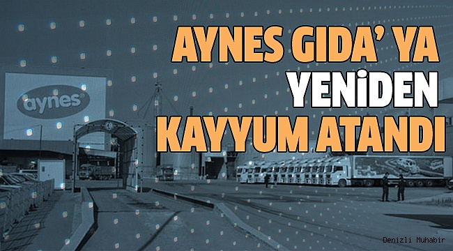 AYNES, TMSF'YE DEVREDİLDİ