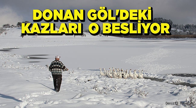 DONAN GÖL'DEKİ  KAZLARI VATANDAŞLAR BESLİYOR