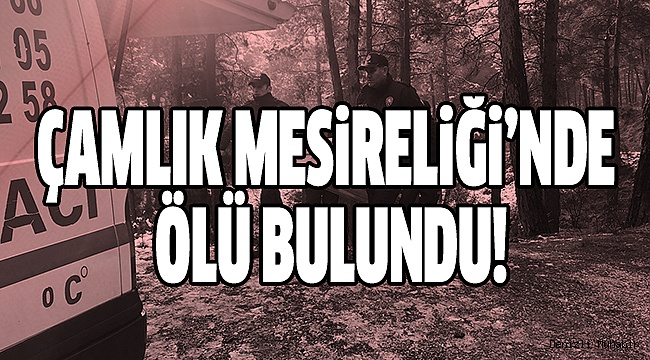 HAREKETSİZ DURMASI DİKKAT ÇEKTİ