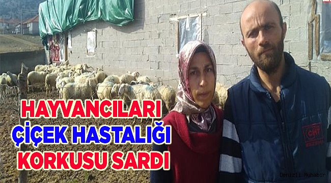 HAYVANCILARI ÇİÇEK HASTALIĞI KORKUSU SARDI