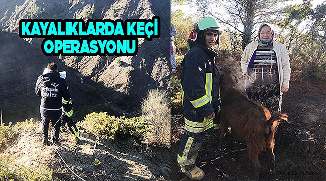 Kayalıklarda mahsur kalan keçiyi itfaiye kurtardı