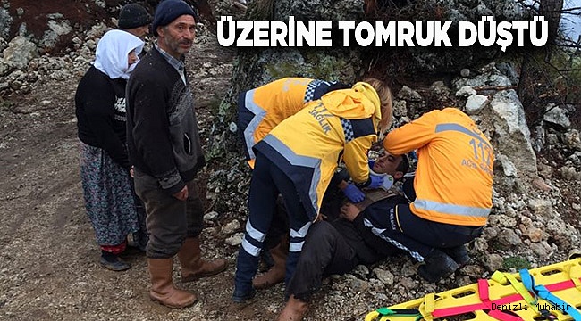 Üzerine tomruk düşen işçi ağır yaralandı