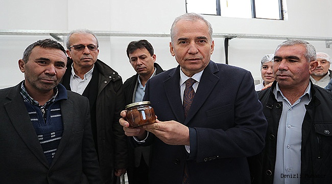 ZOLAN, ALANDIZ KESTANESİNİ TANITTI