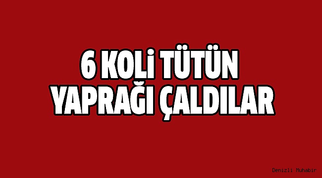 6 KOLİ TÜTÜN YAPRAĞI ÇALDILAR