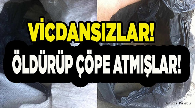 Denizli'de insanlık dışı olay