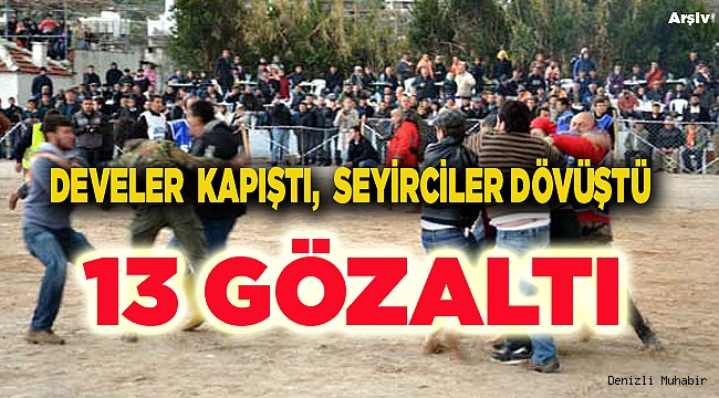 Deve Güreşi İzleyenler Arasında Kavga: 13 Gözaltı