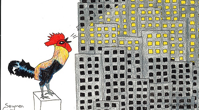 Büyükşehir Karikatür Yarışması sonuçları açıklandı