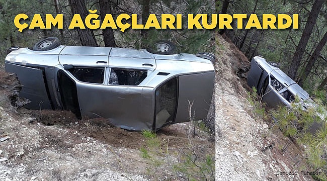 ÇAM AĞAÇLARI FACİAYI ÖNLEDİ