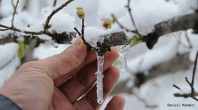 Çiftçiye zirai don uyarısı