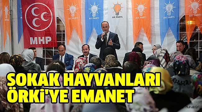ÖRKİ SOKAK HAYVANLARINA YUVA YAPACAK