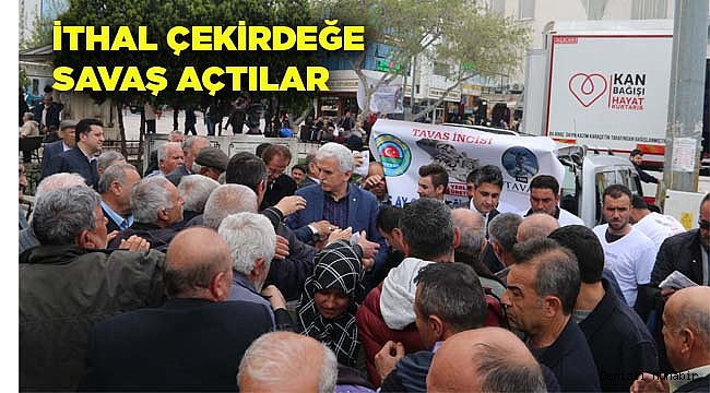 İthal ay çekirdeğine karşı ücretsiz yerli çekirdek dağıtıldı