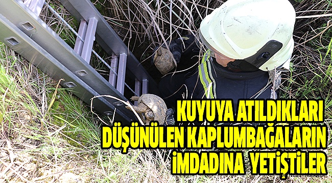 Mahsur Kalan 17 Kaplumbağayı İtfaiye Kurtardı