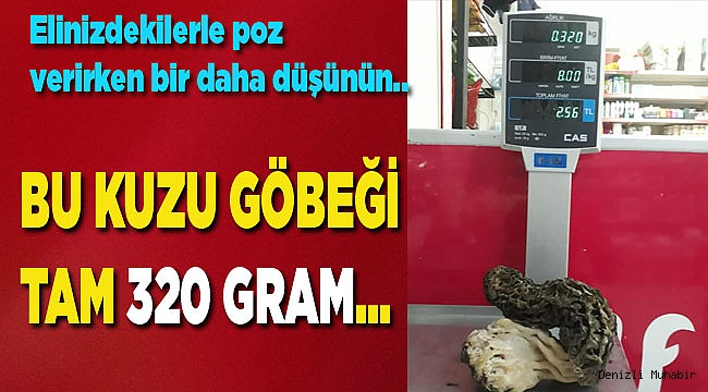 Meraklısı  320 gram kuzugöbeği buldu