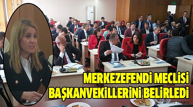 MERKEZEFENDİ MECLİSİ İLK TOPLANTISINI YAPTI