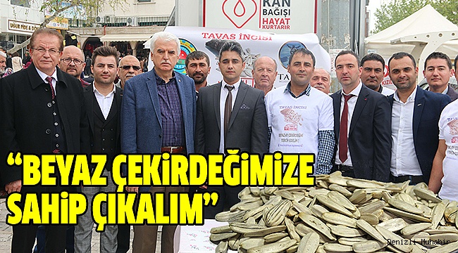 Tavaslı Üreticiden Beyaz Ayçekirdeği Seferberliği