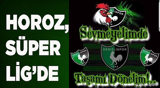 Abalı Denizlispor-6--Karabükspor-0