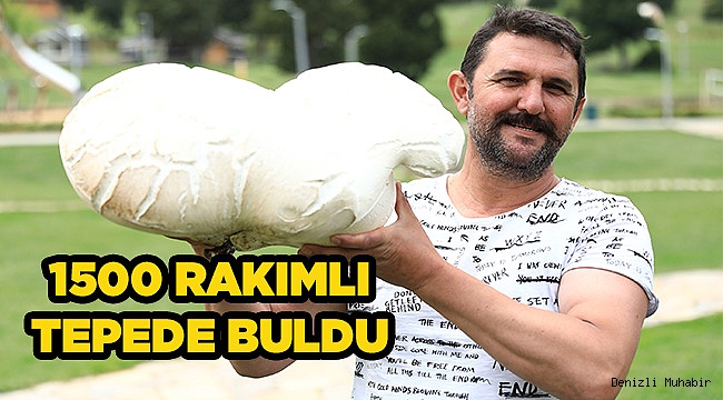 Bağbaşı Yaylası'nda bulunan dev mantar şaşırttı