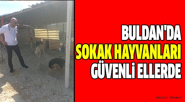 Buldan Belediyesi’nden Sokak Hayvanlarına Yardım Eli