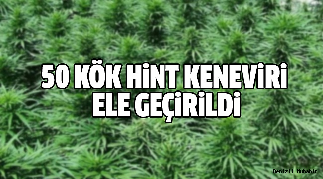 Buldan’da Kenevir Operasyonu