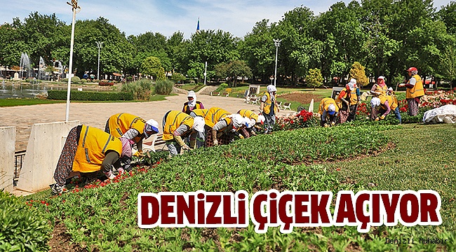 Büyükşehir Yeşil Alanları Bakıma Aldı